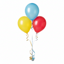 Load image into Gallery viewer, Party Bunch
